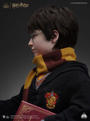 Harry Potter Bust 1/1 Harry 76 cm 6972662530659