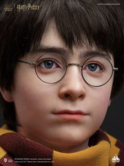 Harry Potter Bust 1/1 Harry 76 cm 6972662530659