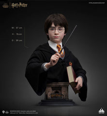 Harry Potter Bust 1/1 Harry 76 cm 6972662530659