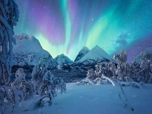 Power of Nature Jigsaw Puzzle When the northern lights dance (1500 pieces) 4005555008026