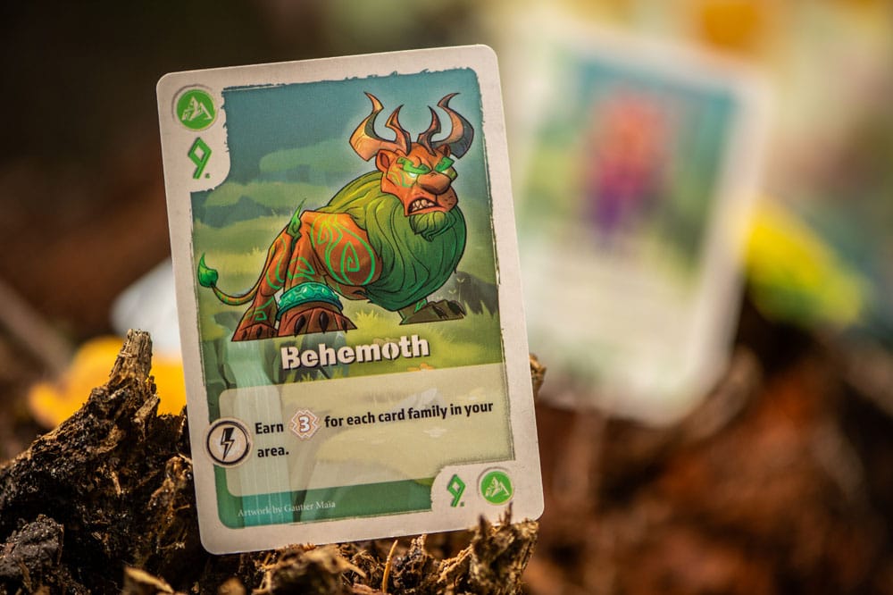 The Vale of Eternity card game *Englische Version* 0810011726741