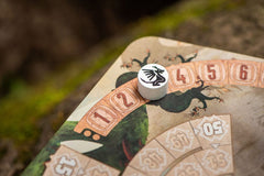 The Vale of Eternity card game *Englische Version* 0810011726741
