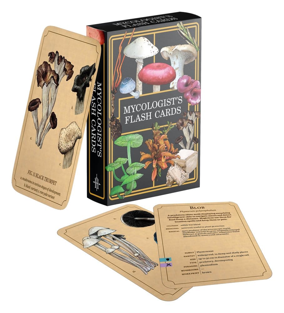 Renegade Originals: Mycologist's Primer Flash Cards *English Version* 0810011729186