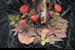 The Mushroom Girls PVC Statue 1/1 No.6 Marasmius Haematocephalus 23 cm 6974992520348