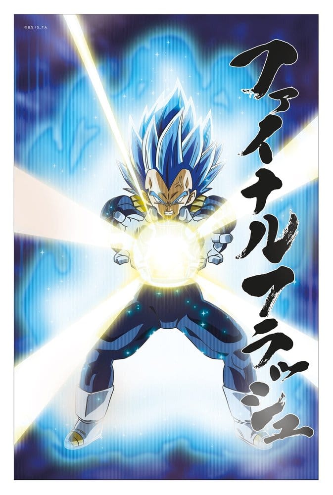 Dragon Ball Super 3D Poster Survival Vegeta 38 x 58 cm  8435450256400