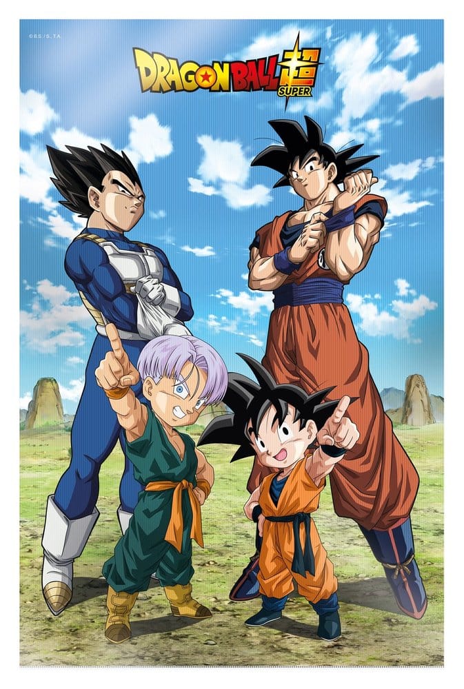 Dragon Ball Super 3D Poster Battle of Gods Goku Vegeta Family 38 x 58 cm  8435450256417