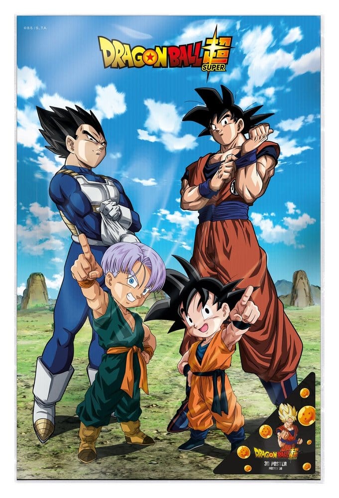 Dragon Ball Super 3D Poster Battle of Gods Goku Vegeta Family 38 x 58 cm  8435450256417