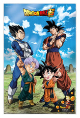Dragon Ball Super 3D Poster Battle of Gods Goku Vegeta Family 38 x 58 cm  8435450256417