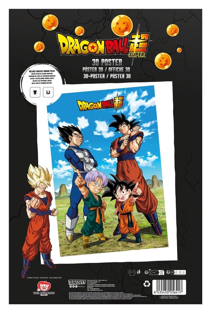 Dragon Ball Super 3D Poster Battle of Gods Goku Vegeta Family 38 x 58 cm  8435450256417
