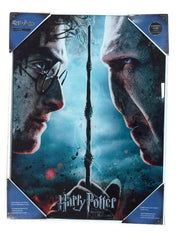 Harry Potter Glass Poster Harry & Voldemort 30 x 40 cm 8435450200717