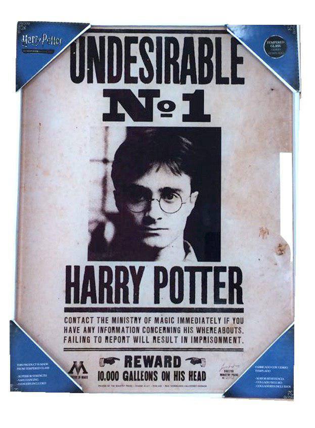 Harry Potter Glass Poster Undesirable No. 1 30 x 40 cm 8435450200731