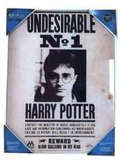 Harry Potter Glass Poster Undesirable No. 1 30 x 40 cm 8435450200731