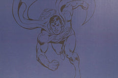 DC Comics Storage Box Superman 40 x 21 x 30 cm 8435450202049