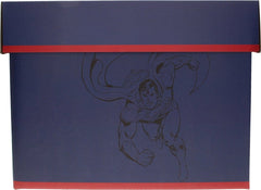 DC Comics Storage Box Superman 40 x 21 x 30 cm 8435450202049
