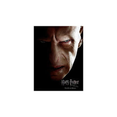 Harry Potter Glass Poster Voldemort 30 x 40 cm  8435450250866