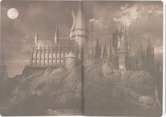 Harry Potter Softcover Notebook Hufflepuff 21 cm 8435450264467