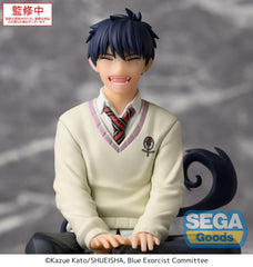 Blue Exorcist PM Perching PVC Statue Rin Okumura 14 cm 4582733440873