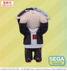 COLORFUL STAGE! The Movie: A Miku Who Can't Sing Nesoberi Lay-Down Plush Figure Aoyagi Toya 16 cm 4582733446622