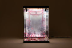 SHINSAI Acrylic Display Case with Lighting Inbina Rasethuhime Saki M Edition 39 cm 4570178590277