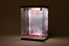 SHINSAI Acrylic Display Case with Lighting Inbina Rasethuhime Saki M Edition 39 cm 4570178590277