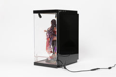 SHINSAI Acrylic Display Case with Lighting Inbina Rasethuhime Saki M Edition 39 cm 4570178590277