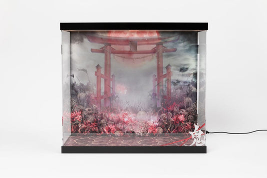 SHINSAI Acrylic Display Case with Lighting Inbina Rasethuhime Saki 39 cm 4570178590284