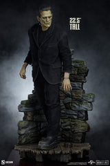 Frankenstein Premium Format Mixed Media Statue Frankenstein (Fabric Costume) 57 cm  0747720279070