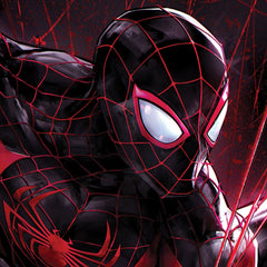 Marvel Art Print Spider-Man Miles Morales 61 x 41 cm - unframed 0747720272705