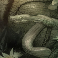 The Creature from the Black Lagoon Art Print Creature from the Black Lagoon by Dan Quintana 61 x 41 cm - unframed 0747720273696
