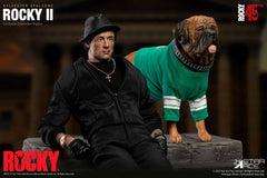 Rocky II My Favourite Movie Action Figure 1/6 4897057881173