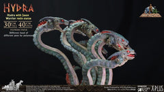 Ray Harryhausen Painted Statue Hydra with Jason Warrior Resin Statue 30 cm 4897057886796