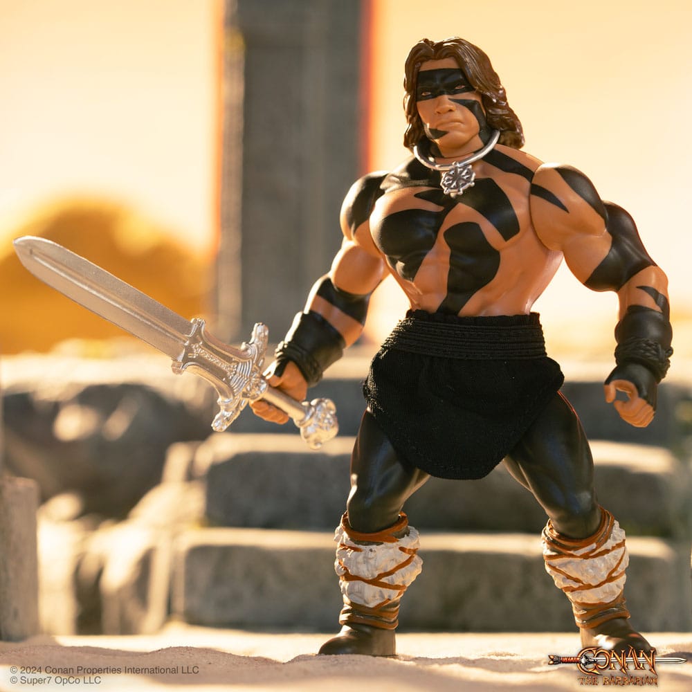 Conan the Barbarian 1982 Vintage Collection Action Figure Wave 1 Conan Warpaint Ver. 14 cm 0840049889385