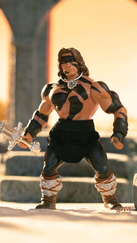 Conan the Barbarian 1982 Vintage Collection Action Figure Wave 1 Conan Warpaint Ver. 14 cm 0840049889385