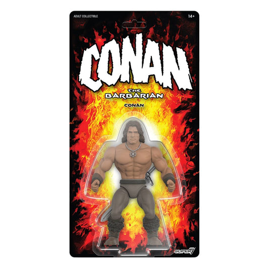 Conan the Barbarian 1982 Vintage Collection Action Figure Wave 1 Conan 14 cm 0840049889378