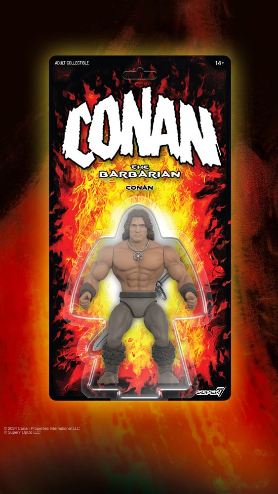 Conan the Barbarian 1982 Vintage Collection Action Figure Wave 1 Conan 14 cm 0840049889378