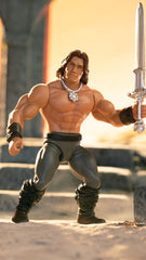 Conan the Barbarian 1982 Vintage Collection Action Figure Wave 1 Conan 14 cm 0840049889378