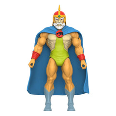 Thundercats Ultimates Action Figure Wave 9 Jaga (Toy Recolor) 20 cm 0840049881983