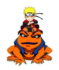 Naruto Shippuden Light Naruto and Gamakishi 20 cm 3760158116080