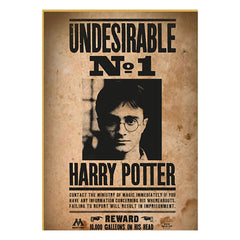 Harry Potter Puzzle Wanted No1 Harry Potter (50 pieces) 8435450251726