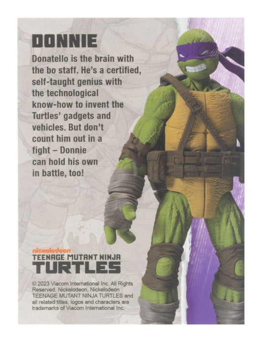 Teenage Mutant Ninja Turtles BST AXN Action Figure Donatello (IDW Comics) 13 cm 0810122580003