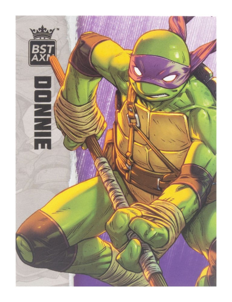 Teenage Mutant Ninja Turtles BST AXN Action F 0810122580003