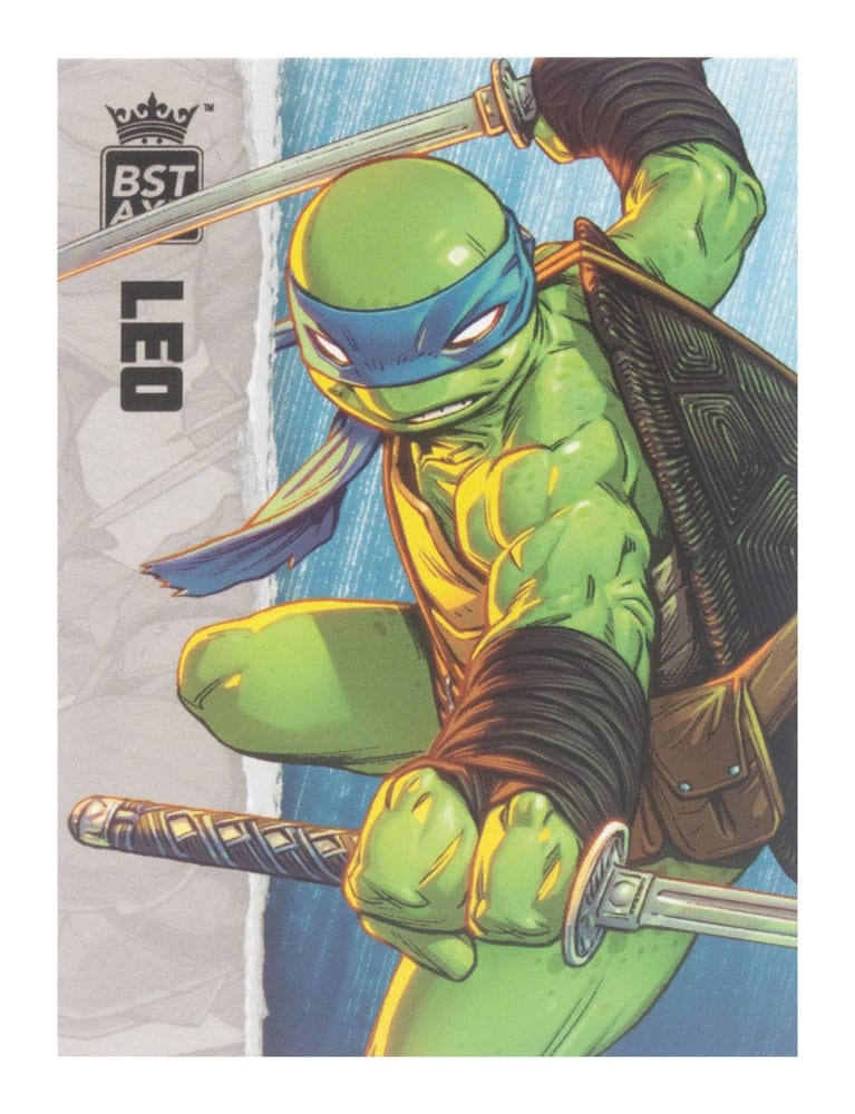 Teenage Mutant Ninja Turtles BST AXN Action F 0810122580010