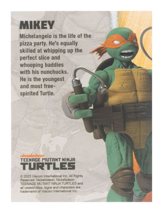 Teenage Mutant Ninja Turtles BST AXN Action F 0810122580027