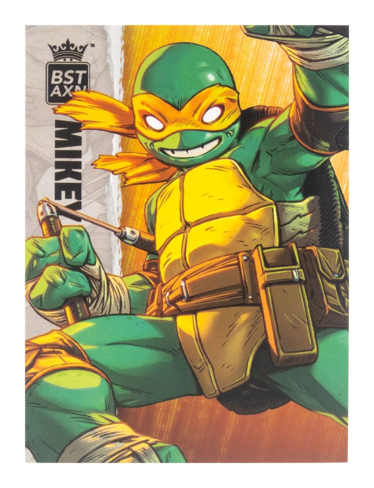 Teenage Mutant Ninja Turtles BST AXN Action F 0810122580027