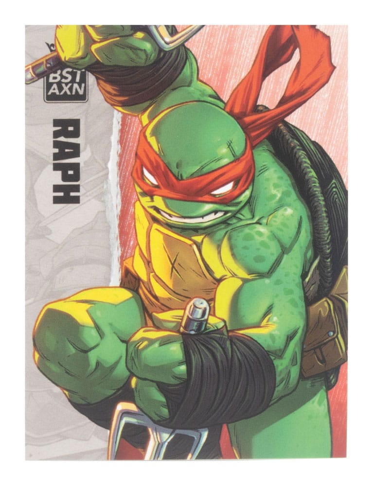 Teenage Mutant Ninja Turtles BST AXN Action F 0810122580034