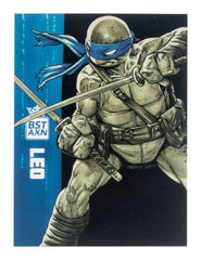 Teenage Mutant Ninja Turtles BST AXN Action F 0810122580379