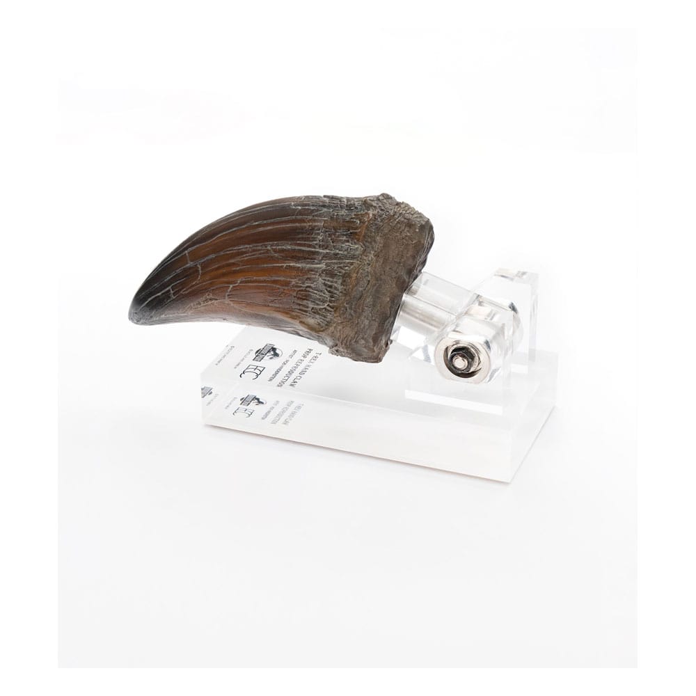 Jurassic Park Statue T-Rex Hand Claw 13 cm 51349545