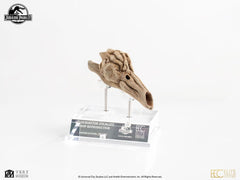 Jurassic Park III Prop Replica 1/1 Velociraptor Resonance Chamber 18 cm 33245923