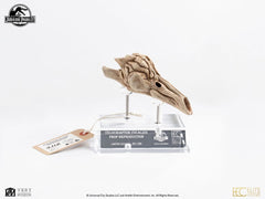 Jurassic Park III Prop Replica 1/1 Velociraptor Resonance Chamber 18 cm 33245923