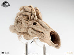 Jurassic Park III Prop Replica 1/1 Velociraptor Resonance Chamber 18 cm 33245923